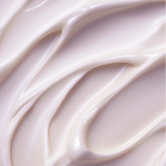 Revitalized Massage Membership at Revitalized Healing LLC in Indianapolis, IN